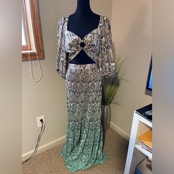 COPY - AFRM Rocco Ombré Snake Print Maxi Skirt - Picture 3 of 5